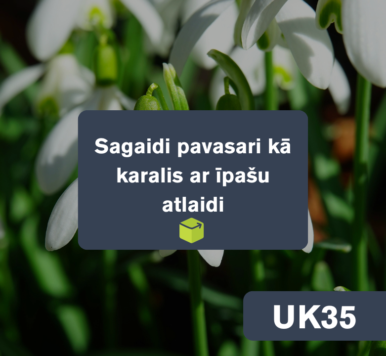 Sagaidi pavasari kā karalis ar īpašu atlaidi 🌼
